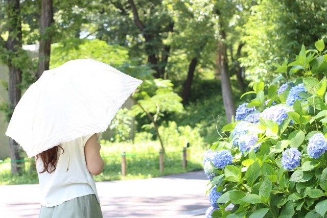 梅雨