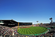 甲子園行きが決まったら？～母校の甲子園出場記念オリジナルタオルの出番です！～