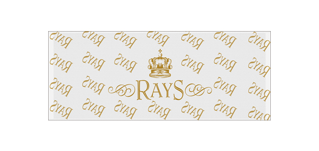 RAYS-4